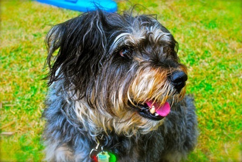Radley