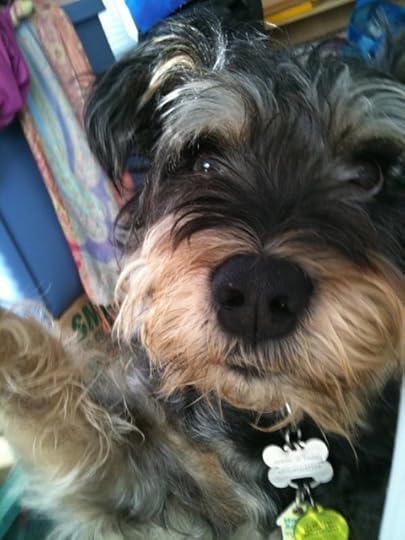 RadleyUpClose