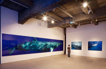 Photographs by Bryant Austin on display at the Museum of Monterey