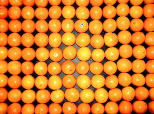 Oranges on a table at work