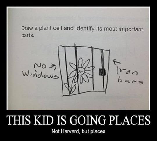 942429_392740017492814_934422239_n