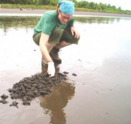 Leslie MacKeen with baby turtles