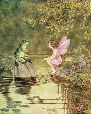 dover fairy and frog talking