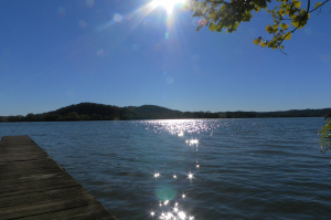 SAMSUNG DIGITAL CAMERA