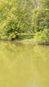 SAMSUNG DIGITAL CAMERA