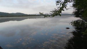 SAMSUNG DIGITAL CAMERA