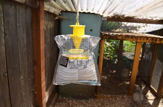 Fly bags will attract the insects with a stinky substance inside. Once in, they stuck and drown.