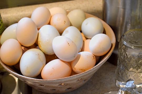 Mix of eggs from standard and bantam chickens