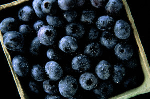 blueberry renal diet