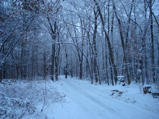 Minnesota Winter