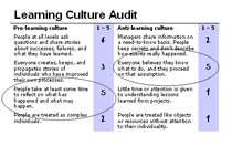 Learning Culture Audit
