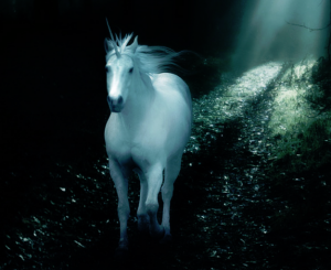 Photo Credit: Amethystana on Deviant Art