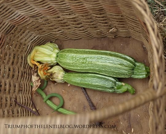 costata romanesco zucchini