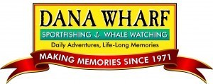 Dana Point Whale Watching color_logo_