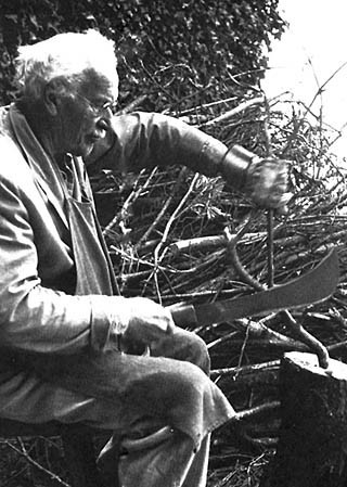 Jung-thumb-340x477-18907