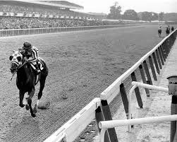 horse race