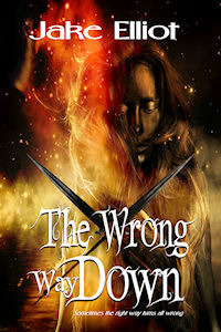 TheWrongWayDown _200x300_dpi72