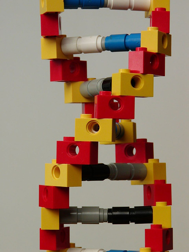 DNA