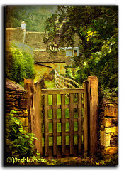 The Narrow Gate