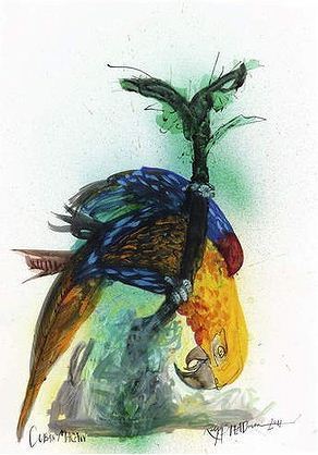 Cuban Macaw by Ralph Steadman