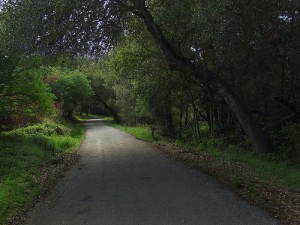 Permission to Move On post image