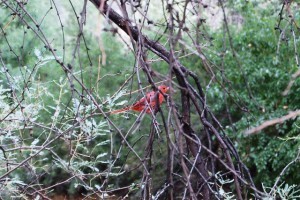 DSC_0123weblg