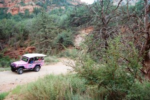 DSC_0107weblg