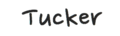 TUCKER REED
