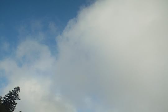 Tree with sky