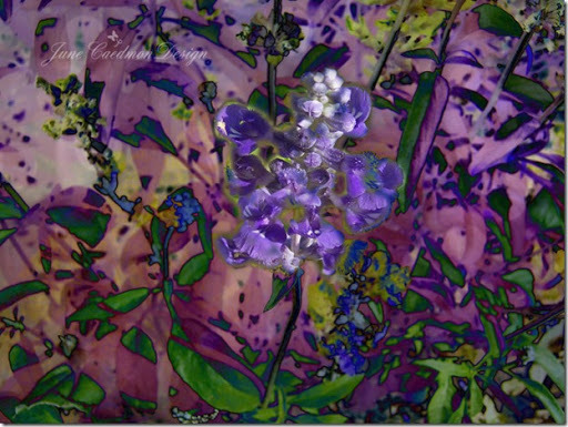 Sage_art