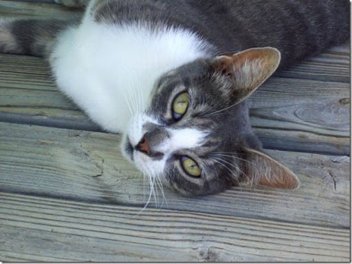 ThoseEyes