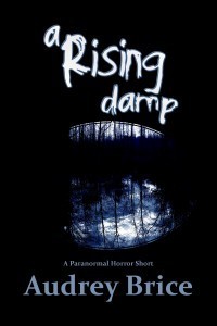 arisingdamp