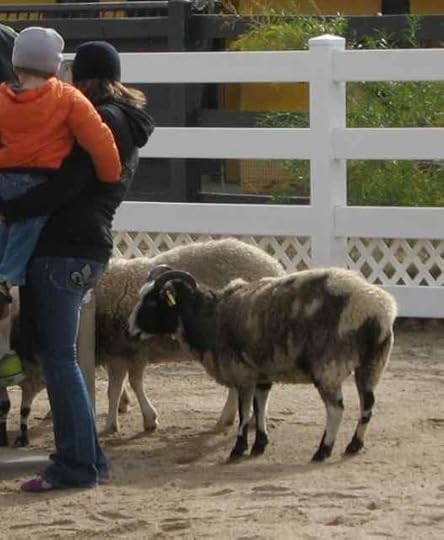 Jacob NA 6960 Version 2