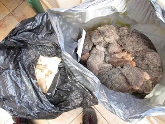 Ryeland fleeces 3408