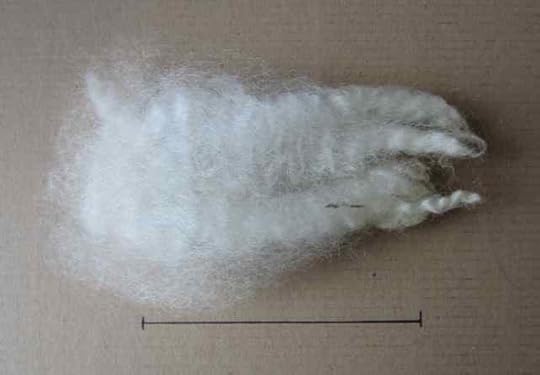 Coopworth_0919---Version-2-sm