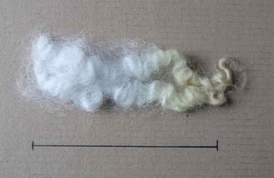 Romney_0819---Version-2-sm