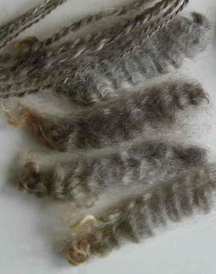 Romney2_4959.JPG - Version 2