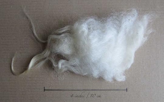 Shetland-long_0936-web