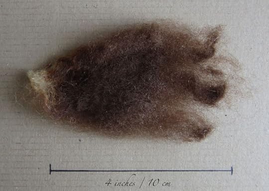 Shetland-fine_0934-web