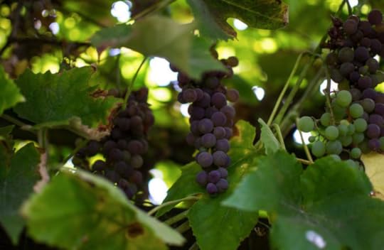 Click to visit the original post