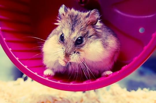 Click to visit the original post