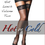 Cover Reveal ~ Hot or Cold ~ The next Hot Lunch story is done! 