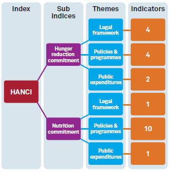 HANCI-structure-diagram