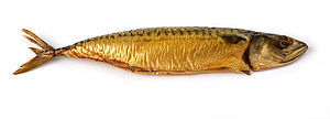 English: Atlantic mackerel Scomber scombrus. F...