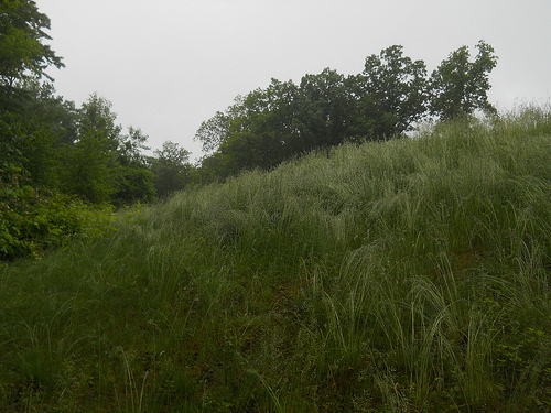 rainy day