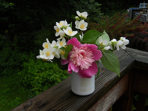 bouquet: peony and mock orange blossoms