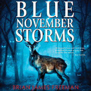 Blue November Storms Audiobook