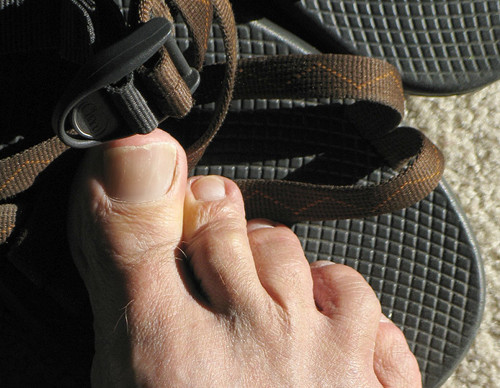 Photo credit: Brave Heart (Flickr)