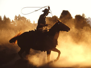 ws_Cowboy_with_lasso_1600x1200