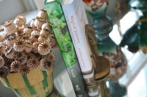 backyard parables and magical journey